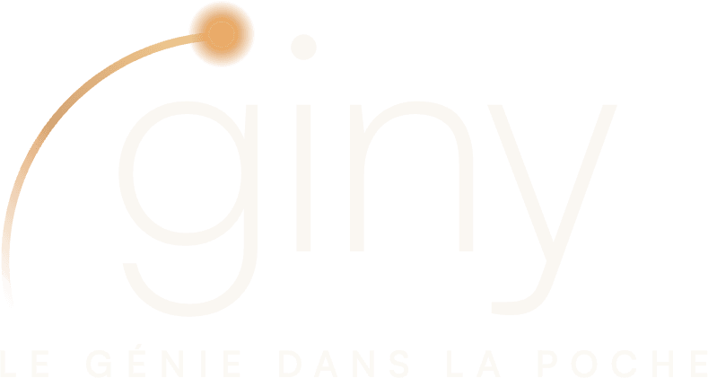Giny, le génie dans la poche